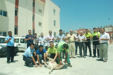 Manavgat Emniyetine 5 Yeni Araç