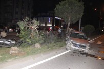 Otomobil Çam Ağacına Çarptı Açıklaması 1 Yaralı