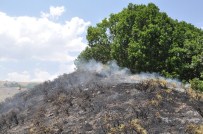 Pülümür'de Korkutan Yangın