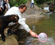 Rize'de Dereye Bin Alabalık Bırakıldı