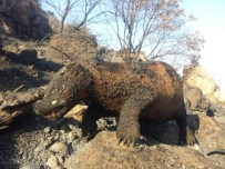 ORTAKENT YAHŞI - Yangında Çok Sayıda Canlı Telef Oldu