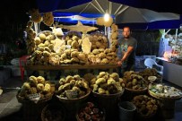 GUATR - Bodrum Süngerine Yoğun İlgi