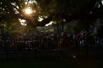 NECDET AKSOY - Eski Kültürü Devam Ettiren Safranbolulular Namazı Hıdırlıkta Kıldı