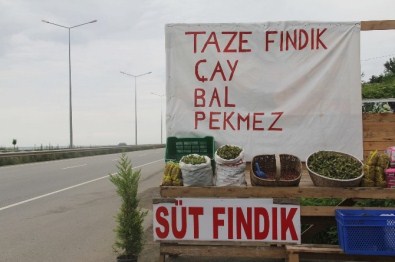 Giresun'da Yeni Mahsul Fındık Pazara İndi