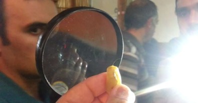 Kemah'ta Sakalı Şerif Heyecanı