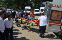 Ordu'da Tarım Aracı Devrildi Açıklaması 2 Yaralı