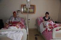 OSMAN ALBAYRAK - Artvin'de 6 Kişi Mantardan Zehirlendi