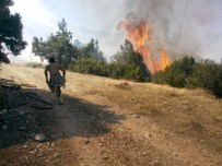 BARLA - Isparta'da Orman Yangını