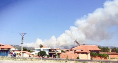 Kırkağaç'ta Orman Yangını