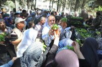 Orhangazi İlçe Mezarlığı Çiçek Bahçesine Döndü