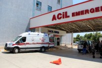 Yalova'da Trafik Kazası Açıklaması 7 Yaralı