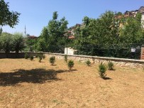 SULTAN AHMET CAMİİ - Yenişehir'de Yeşil Alan Düzenlemesi