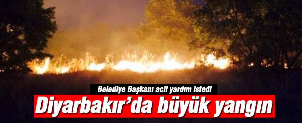 Diyarbakır'ıda büyük yangın!
