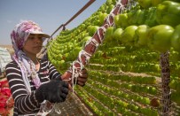 SEBZE HALİ - Gaziantep 'Kurutmalık Mevsimi'ne Geçti