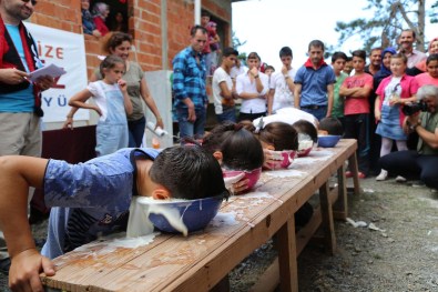 İnebolu'da Bayram Şenliği Düzenlendi