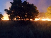 Kulp Belediyesi'nden Barın Köyü Yangını İçin Yardım Çağrısı
