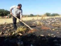 SARıLAR - Orman Yangını Duyarlı Vatandaşların Müdahalesiyle Önlendi