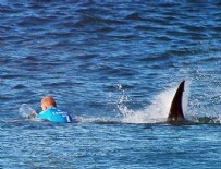 SÖRF GÖSTERİSİ - Şampiyon sörfçüye köpekbalığı saldırısı
