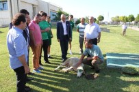 Bursaspor Yeni Sezon Hazırlıklarına Başladı