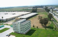 ÇUKOBIRLIK - Çukurova'da Uygulamalı Tarım Fuarı