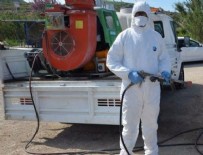 KUŞ GRIBI - 'Kuş Gribi' İstanbul'a sıçradı