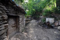 SEDAT İNCİ - Nurs Köyü 'İnanç Turizmine' Kazandırılıyor