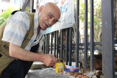 Depremden Kurtuldu Hayata Kedilerle Tutundu