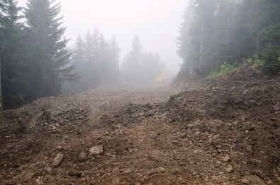 TEMA'dan 'Yeşil Yol' Tepkisi