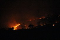 KAYISI BAHÇESİ - Elazığ'daki Yangında 30 Hektar Alan Zarar Gördü