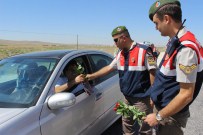 Jandarma Trafik Ekipleri, Sürücüleri Gül Vererek Uyardı