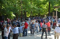 PİLAV GÜNÜ - Karamürsel'de Pilav Günü