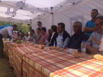 AŞKALE KAYMAKAMI - Koşapınar'da Festival Coşkusu