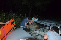 ÇAYıRKENT - Ordu'da Trafik Kazası Açıklaması 1 Ölü 3 Yaralı