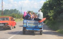 Tarım Aracında Tehlikeli Yolculuk