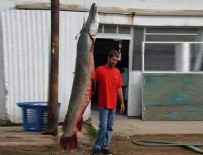 TURNA BALIĞI - 2,5 metrelik balık herkesi şaşkına çevirdi