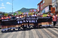 Çatalağzı'nda Termik Santral Protestosu