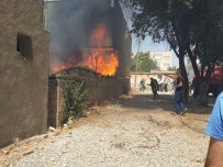 GAZİ MAHALLESİ - Çınarda Kömürlük Yangını