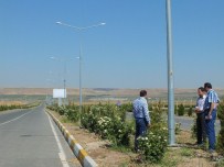 DEDAŞ'tan Aydınlatma Seferberliği