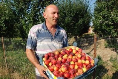 Eriğin Kilogram Fiyatı 1 Liraya Kadar Düştü