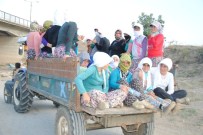 ELEKTRİK ÇARPMASI - İş Güvenliği Sadece Baret Takmak Değildir