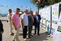 MECIDIYE - Kardeş Şehirler Sergide Buluştu