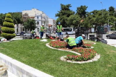 Muğla'da Üretilen Çiçekler Muğla'yı Süslüyor