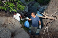 Tunceli'de 'Anadolu Parsı' sevinci