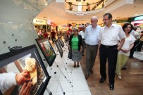 TÜRKIYE ORMANCıLAR DERNEĞI - 'Ağaç Heykeller Fotoğraf Sergisi' Açıldı