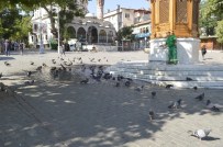 TEMİZLİK İŞÇİSİ - Güvercinler Böyle Serinledi