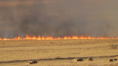 Kulu'da Anız Yangını