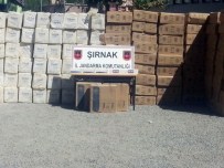 Şırnak'ta 519 Bin Paket Kaçak Sigara Ele Geçirildi