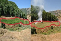 Bingöl'de 120 Bin 600 Kök Kenevir Bitkisi Geçirildi