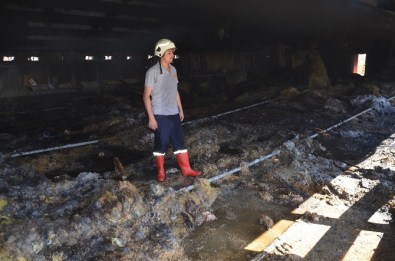 Çiftlik Yangınında 25 Bin Tavuk Telef Oldu