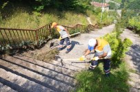 KALICI KONUTLAR - Düzce Belediyesi Kalıcı Konutlarda Mıntıka Temizliği Yapıyor